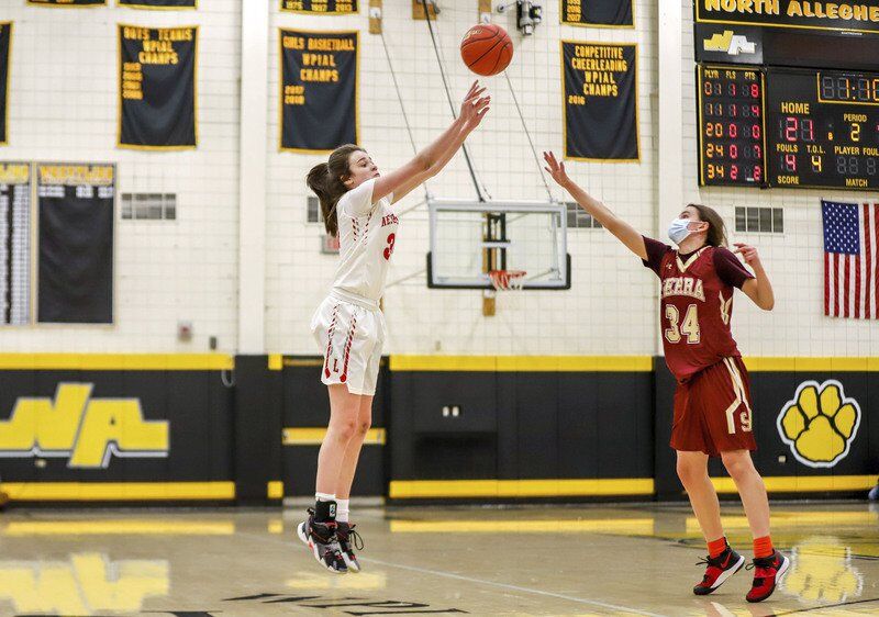 Neshannock's Haggerty earns first-team all-state, teammate Nogay is second team; Mohawk's Julian is second team